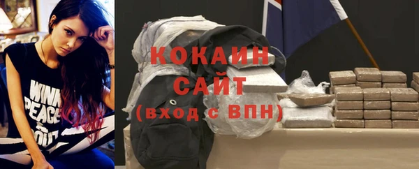 крисы Покачи