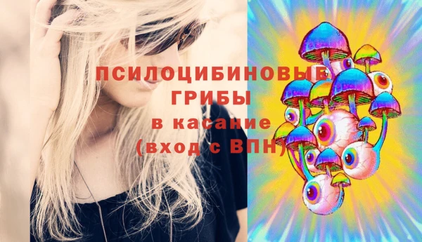 шишки Покровск
