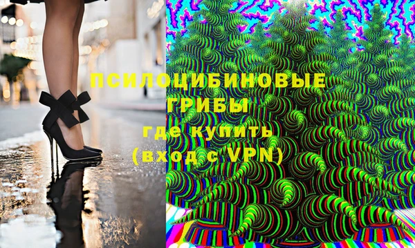 крисы Покачи