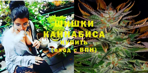 крисы Покачи