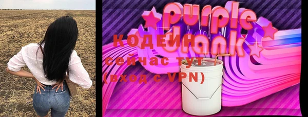 крисы Покачи