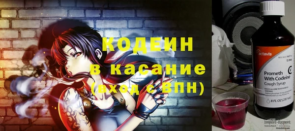 крисы Покачи