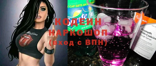 крисы Покачи