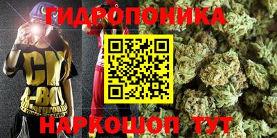 СК Старая Купавна