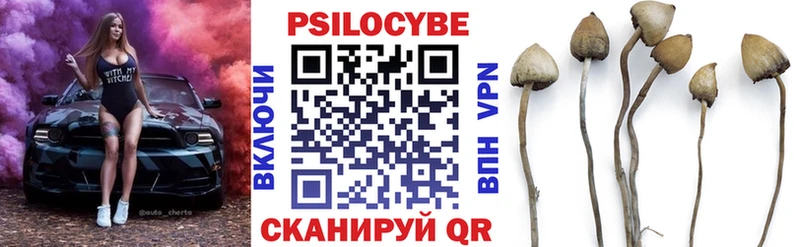 где купить наркоту  omg сайт  Галлюциногенные грибы GOLDEN TEACHER  Сафоново 