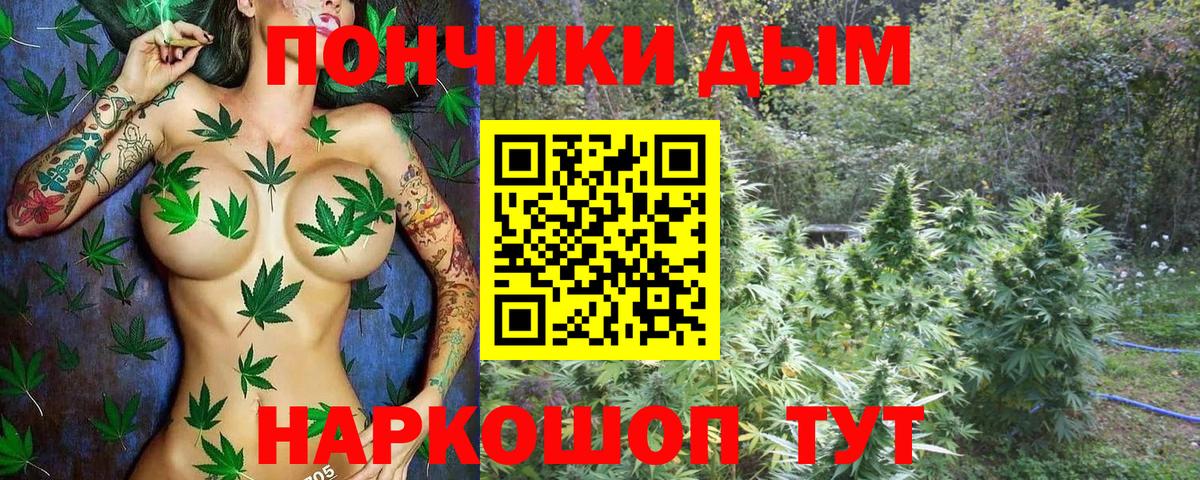 Конопля гибрид  Канабис White Widow  Сафоново  Вход с VPN  МАРИХУАНА ГИДРОПОН 